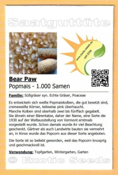 Bear Paw * Popmais * 1.000 Samen